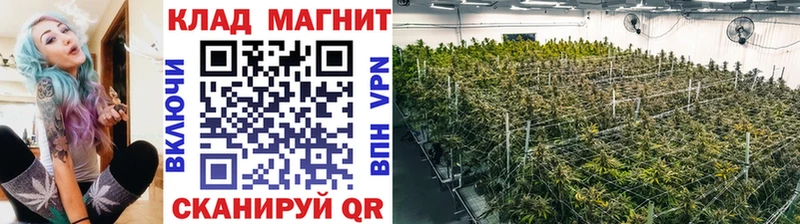 Купить закладку Alpha PVP Амфетамин ГАШ Мефедрон Тында