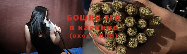 бошки Горнозаводск