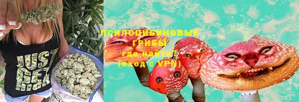 бошки Горнозаводск