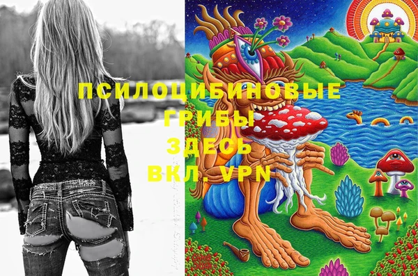 бошки Горнозаводск
