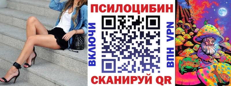Купить  Тында  Галлюциногенные грибы Psilocybine cubensis 